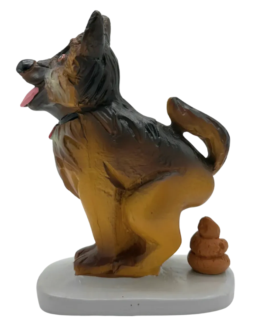 Dog. Tenderness that fills the home with life