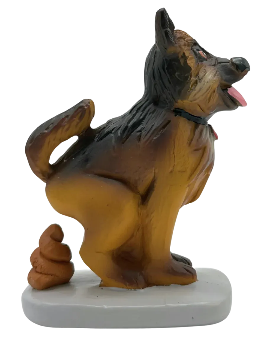 Dog. Tenderness that fills the home with life