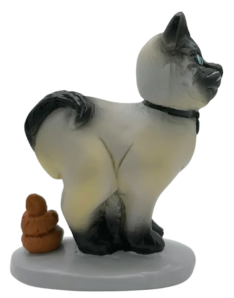 Cat. Soft mystery and everyday elegance