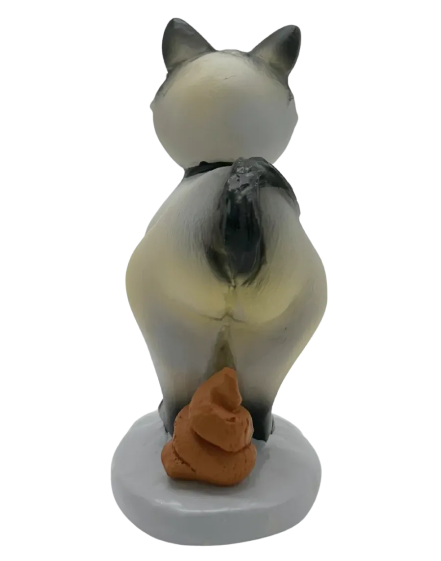 Cat. Soft mystery and everyday elegance